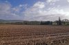 DSC04471 neu.jpg