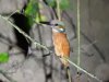 IMG-20171014-WA0001.jpg