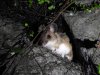 IMG-20171014-WA0005.jpg