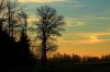 IMG_1734.JPG