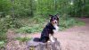 20170520_164144_960.jpg