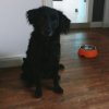 IMG-20171119-WA0004.jpg