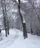 IMG_5282.JPG