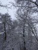 IMG_5283.JPG
