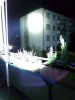 IMG-20171222-WA0002.jpg IMG-20171222-WA0002.jpg
