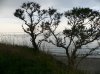 Fehmarn und diverse 236.JPG