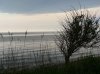 Fehmarn und diverse 239.JPG