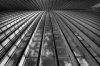 _TPC9814_5_6_7_8-sfex-sfex.jpg