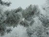 DSC00338.JPG