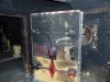 DSC00301.JPG