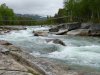 Schweden,Norwegen,Moschus 1955.JPG