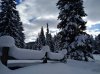 IMG_20180120_110355-1169x874.jpg