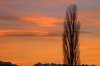 IMG_0443.JPG