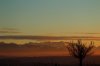 IMG_0596.JPG