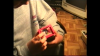 Unbenannt8-960x540.png Unbenannt8-960x540.png