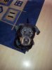 2011-10-19 12.50.59.jpg