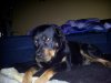 IMG_20120713_003947.jpg