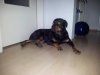 IMG_20120713_004131.jpg