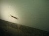 IMG_20120528_020044.jpg