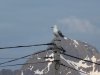 Norwegen09-3 644.JPG