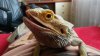 IMG-20160510-WA0003.jpeg
