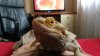 IMG-20160510-WA0000.jpeg