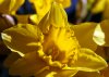 DSC04636 neu.jpg