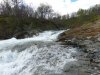 Schweden,Norwegen,Moschus 887.JPG