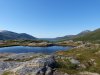 Schweden,Norwegen,Moschus 1507.JPG