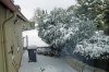 DSC04657 neu.jpg