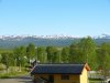 Schweden,Norwegen,Moschus 1152.JPG