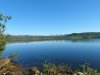 Schweden,Norwegen,Moschus 1160.JPG