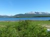 Schweden,Norwegen,Moschus 1239.JPG