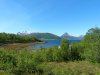 Schweden,Norwegen,Moschus 1295.JPG