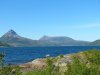 Schweden,Norwegen,Moschus 1297.JPG
