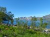 Schweden,Norwegen,Moschus 1348.JPG