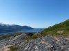 Schweden,Norwegen,Moschus 1527.JPG