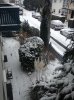 IMG_6322.JPG