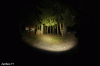 BS2_GIF alle.gif