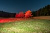 IMG_6505.JPG