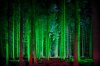 surreal-ccbb140b-37ea-44c6-b21c-e768457476cb.jpg
