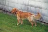 DSC04687 neu.jpg