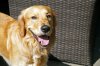 DSC04689 neu.jpg