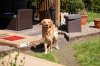 DSC04680 neu.jpg