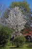 DSC04710 hk.jpg