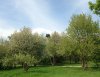 IMG_6735.JPG