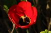 IMG_0859.JPG