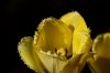 IMG_0912.JPG