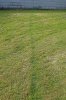 DSC04737 neu.jpg
