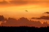 IMG_0164.JPG